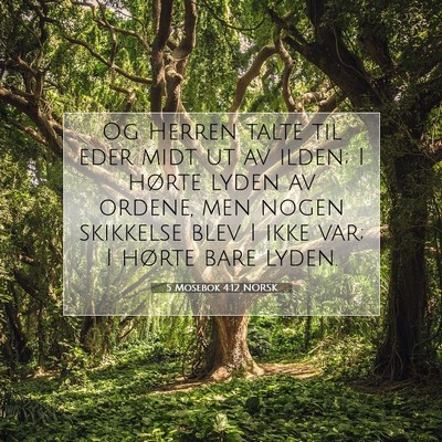 Picture 07 - 5 Mosebok 4:12 NORSK - Og Herren talte til eder midt ut av ilden; I - Bible Verse Picture