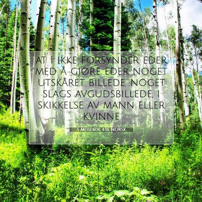Picture 07 - 5 Mosebok 4:16 NORSK - at I ikke forsynder eder med å gjøre eder noget - Bible Verse Picture