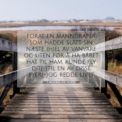 Picture 07 - 5 Mosebok 4:42 NORSK - forat en manndraper som hadde slått sin næste - Bible Verse Picture