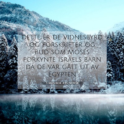 Picture 07 - 5 Mosebok 4:45 NORSK - dette er de vidnesbyrd og forskrifter og bud som - Bible Verse Picture