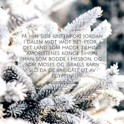 Picture 07 - 5 Mosebok 4:46 NORSK - på hin side {østenfor} Jordan i dalen midt imot - Bible Verse Picture