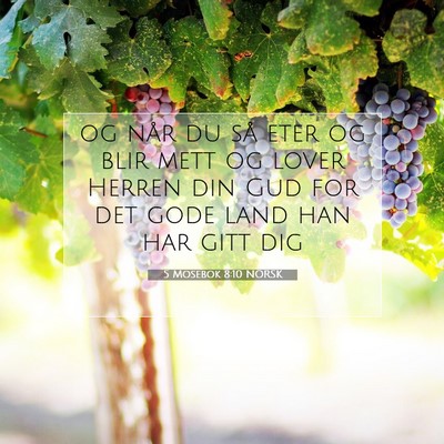Picture 07 - 5 Mosebok 8:10 NORSK - og når du så eter og blir mett og lover Herren - Bible Verse Picture