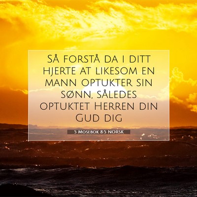 Picture 07 - 5 Mosebok 8:5 NORSK - Så forstå da i ditt hjerte at likesom en mann - Bible Verse Picture