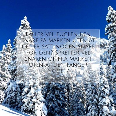 Picture 07 - Amos 3:5 NORSK - Faller vel fuglen i en snare på marken uten at - Bible Verse Picture