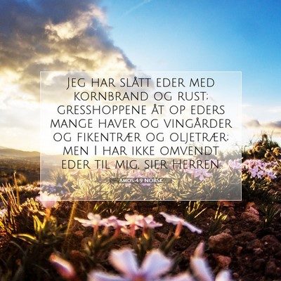 Picture 07 - Amos 4:9 NORSK - Jeg har slått eder med kornbrand og rust; - Bible Verse Picture