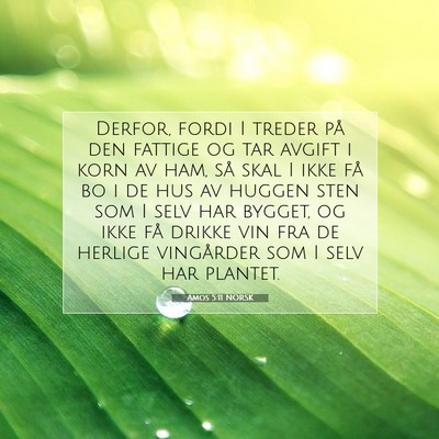 Picture 07 - Amos 5:11 NORSK - Derfor, fordi I treder på den fattige og tar - Bible Verse Picture