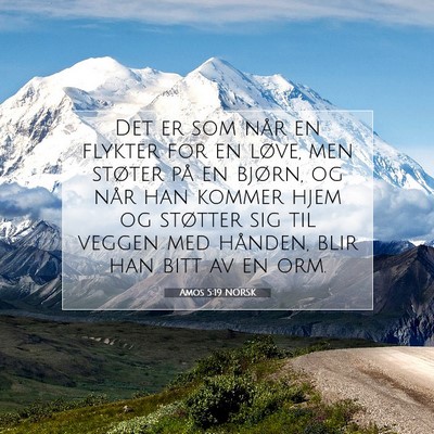 Picture 07 - Amos 5:19 NORSK - Det er som når en flykter for en løve, men - Bible Verse Picture