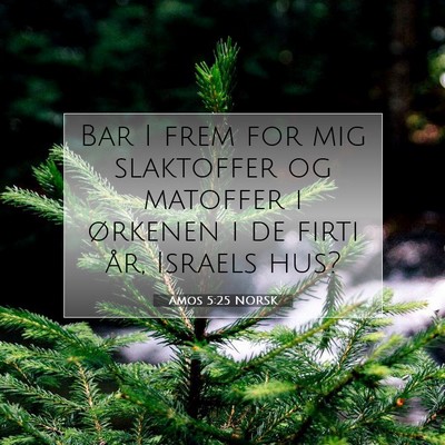 Picture 07 - Amos 5:25 NORSK - Bar I frem for mig slaktoffer og matoffer i - Bible Verse Picture