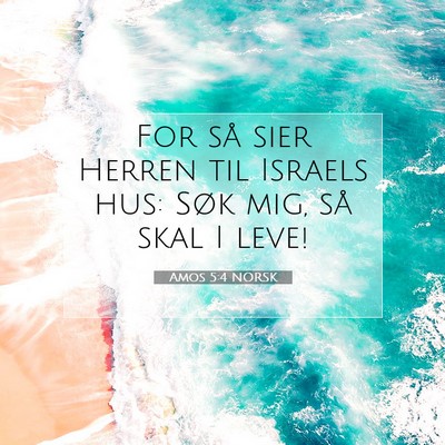 Picture 07 - Amos 5:4 NORSK - For så sier Herren til Israels hus: Søk mig, - Bible Verse Picture