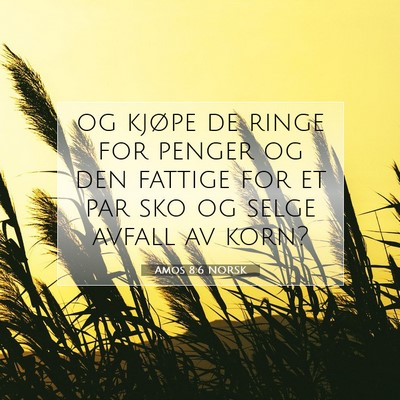 Picture 07 - Amos 8:6 NORSK - og kjøpe de ringe for penger og den fattige for - Bible Verse Picture