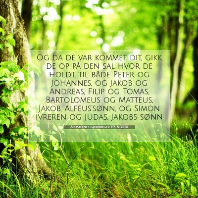 Picture 07 - Apostlenes gjerninger 1:13 NORSK - Og da de var kommet dit, gikk de op på den sal - Bible Verse Picture