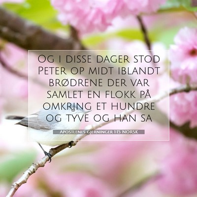 Picture 07 - Apostlenes gjerninger 1:15 NORSK - Og i disse dager stod Peter op midt iblandt - Bible Verse Picture