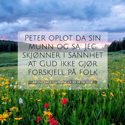 Picture 07 - Apostlenes gjerninger 10:34 NORSK - Peter oplot da sin munn og sa: Jeg skjønner i - Bible Verse Picture