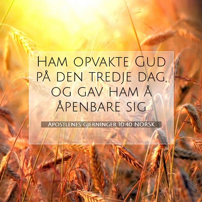 Picture 07 - Apostlenes gjerninger 10:40 NORSK - Ham opvakte Gud på den tredje dag, og gav ham å - Bible Verse Picture