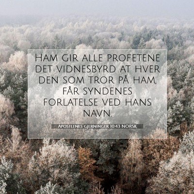 Picture 07 - Apostlenes gjerninger 10:43 NORSK - Ham gir alle profetene det vidnesbyrd at hver den - Bible Verse Picture