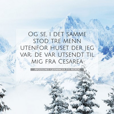 Picture 07 - Apostlenes gjerninger 11:11 NORSK - Og se, i det samme stod tre menn utenfor huset - Bible Verse Picture