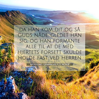 Picture 07 - Apostlenes gjerninger 11:23 NORSK - da han kom dit og så Guds nåde, gledet han sig, - Bible Verse Picture