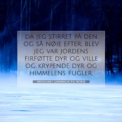 Picture 07 - Apostlenes gjerninger 11:6 NORSK - da jeg stirret på den og så nøie efter, blev - Bible Verse Picture