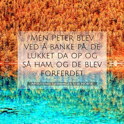 Picture 07 - Apostlenes gjerninger 12:16 NORSK - Men Peter blev ved å banke på, de lukket da op - Bible Verse Picture