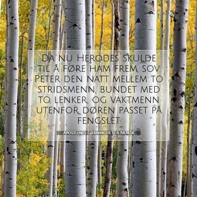 Picture 07 - Apostlenes gjerninger 12:6 NORSK - Da nu Herodes skulde til å føre ham frem, sov - Bible Verse Picture