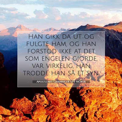 Picture 07 - Apostlenes gjerninger 12:9 NORSK - Han gikk da ut og fulgte ham, og han forstod ikke - Bible Verse Picture