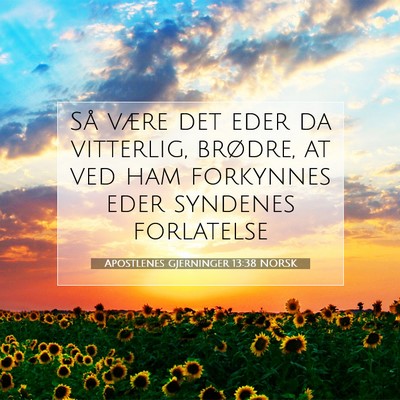 Picture 07 - Apostlenes gjerninger 13:38 NORSK - Så være det eder da vitterlig, brødre, at ved - Bible Verse Picture