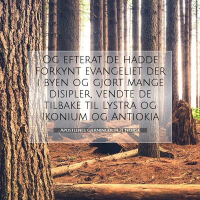 Picture 07 - Apostlenes gjerninger 14:21 NORSK - Og efterat de hadde forkynt evangeliet der i byen - Bible Verse Picture