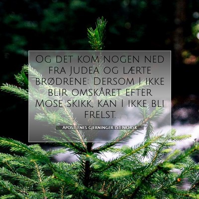 Picture 07 - Apostlenes gjerninger 15:1 NORSK - Og det kom nogen ned fra Judea og lærte - Bible Verse Picture
