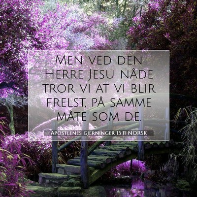 Picture 07 - Apostlenes gjerninger 15:11 NORSK - Men ved den Herre Jesu nåde tror vi at vi blir - Bible Verse Picture
