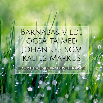 Picture 07 - Apostlenes gjerninger 15:37 NORSK - Barnabas vilde også ta med Johannes som kaltes - Bible Verse Picture
