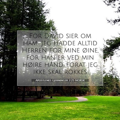 Picture 07 - Apostlenes gjerninger 2:25 NORSK - For David sier om ham: Jeg hadde alltid Herren - Bible Verse Picture