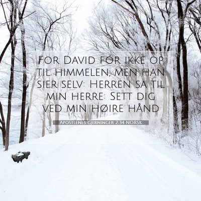 Picture 07 - Apostlenes gjerninger 2:34 NORSK - For David fór ikke op til himmelen, men han sier - Bible Verse Picture