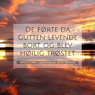 Picture 07 - Apostlenes gjerninger 20:12 NORSK - De førte da gutten levende bort og blev høilig - Bible Verse Picture