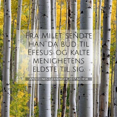 Picture 07 - Apostlenes gjerninger 20:17 NORSK - Fra Milet sendte han da bud til Efesus og kalte - Bible Verse Picture