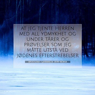 Picture 07 - Apostlenes gjerninger 20:19 NORSK - at jeg tjente Herren med all ydmykhet og under - Bible Verse Picture