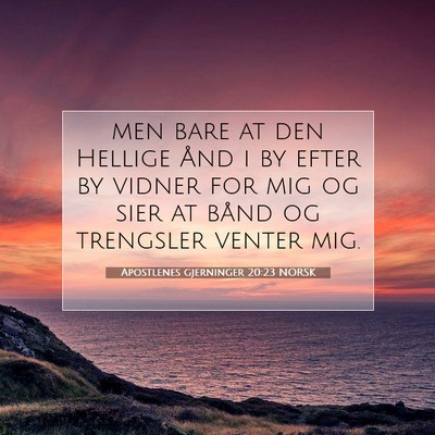Picture 07 - Apostlenes gjerninger 20:23 NORSK - men bare at den Hellige Ånd i by efter by vidner - Bible Verse Picture
