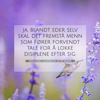 Picture 07 - Apostlenes gjerninger 20:30 NORSK - ja, blandt eder selv skal det fremstå menn som - Bible Verse Picture