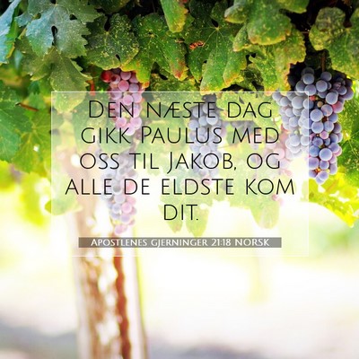 Picture 07 - Apostlenes gjerninger 21:18 NORSK - Den næste dag gikk Paulus med oss til Jakob, og - Bible Verse Picture