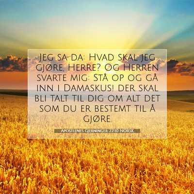 Picture 07 - Apostlenes gjerninger 22:10 NORSK - Jeg sa da: Hvad skal jeg gjøre, Herre? Og Herren - Bible Verse Picture