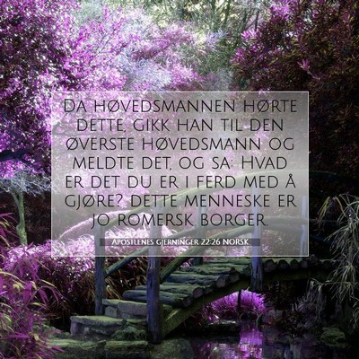 Picture 07 - Apostlenes gjerninger 22:26 NORSK - Da høvedsmannen hørte dette, gikk han til den - Bible Verse Picture