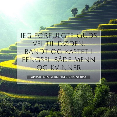 Picture 07 - Apostlenes gjerninger 22:4 NORSK - jeg forfulgte Guds vei til døden, bandt og - Bible Verse Picture
