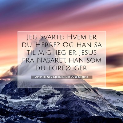 Picture 07 - Apostlenes gjerninger 22:8 NORSK - Jeg svarte: Hvem er du, Herre? Og han sa til mig: - Bible Verse Picture