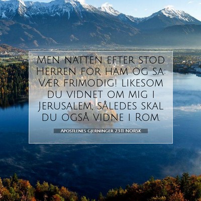 Picture 07 - Apostlenes gjerninger 23:11 NORSK - Men natten efter stod Herren for ham og sa: Vær - Bible Verse Picture