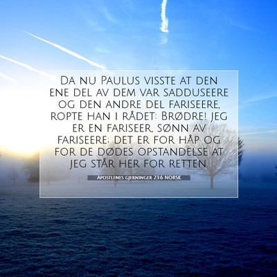 Picture 07 - Apostlenes gjerninger 23:6 NORSK - Da nu Paulus visste at den ene del av dem var - Bible Verse Picture