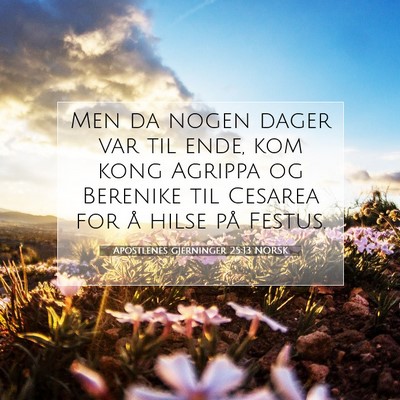 Picture 07 - Apostlenes gjerninger 25:13 NORSK - Men da nogen dager var til ende, kom kong Agrippa - Bible Verse Picture