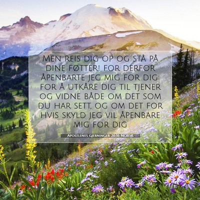 Picture 07 - Apostlenes gjerninger 26:16 NORSK - Men reis dig op og stå på dine føtter! for - Bible Verse Picture