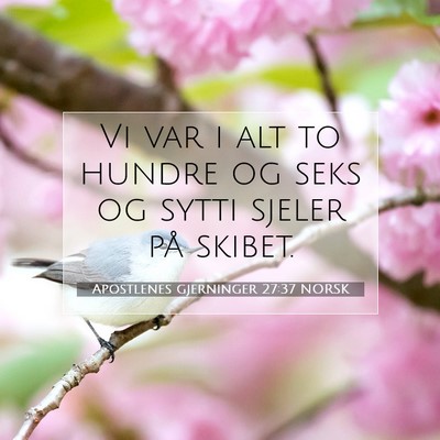Picture 07 - Apostlenes gjerninger 27:37 NORSK - Vi var i alt to hundre og seks og sytti sjeler - Bible Verse Picture