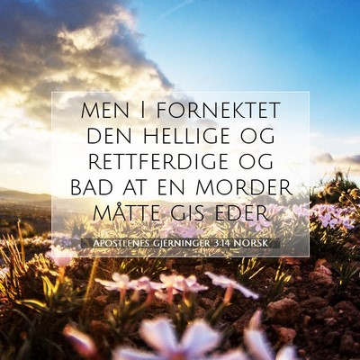 Picture 07 - Apostlenes gjerninger 3:14 NORSK - men I fornektet den hellige og rettferdige og bad - Bible Verse Picture