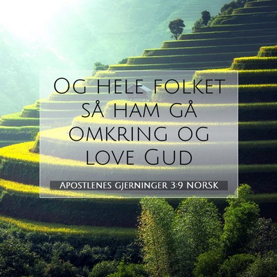 Picture 07 - Apostlenes gjerninger 3:9 NORSK - Og hele folket så ham gå omkring og love - Bible Verse Picture