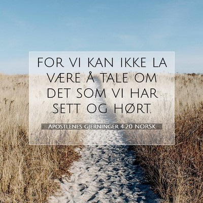 Picture 07 - Apostlenes gjerninger 4:20 NORSK - for vi kan ikke la være å tale om det som vi - Bible Verse Picture